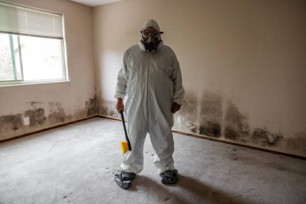 Best Post-Flood Mold Remediation in Plandome, NY